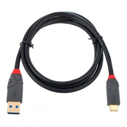 Lindy USB 3.1 Cable Typ A/C 1m