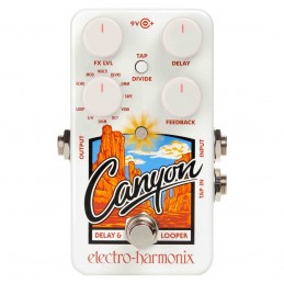 Electro Harmonix Canyon...
